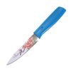 Stainless Steel Paring Knife