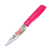 Stainless Steel Paring Knife
