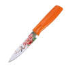 Stainless Steel Paring Knife