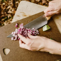 static/picture/Can-I-Bring-Cooking-Knives-Into-Australia.jpg