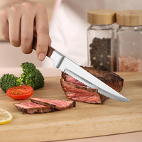 static/picture/Circular-Steak-Knife-for-New-Launch.png