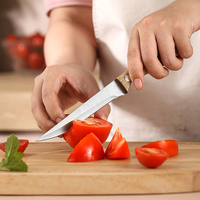static/picture/Fashion-Unique-Steak-Knife.png