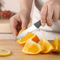 static/picture/Magnet-Pocket-Knife.png