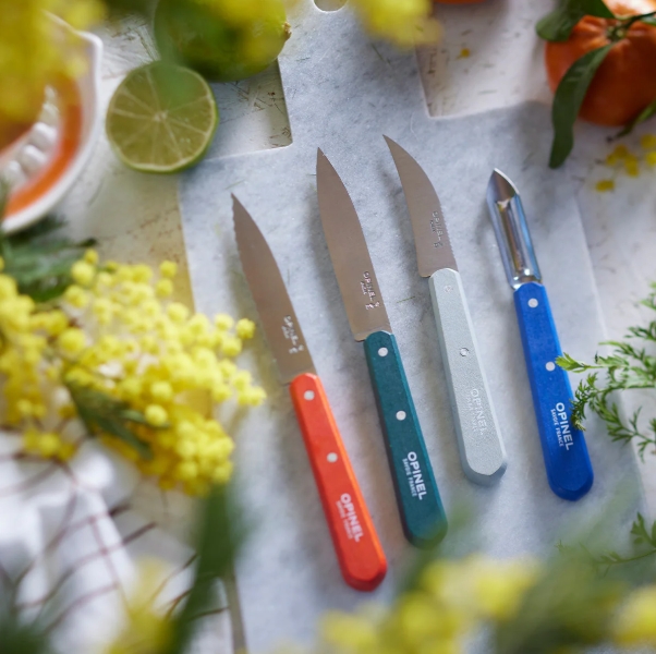 What's the Difference Between a Paring Knife and a Kitchen Knife_2