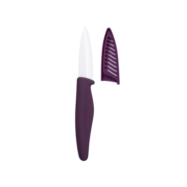Classic 3Cr13 Best Fruit Knives