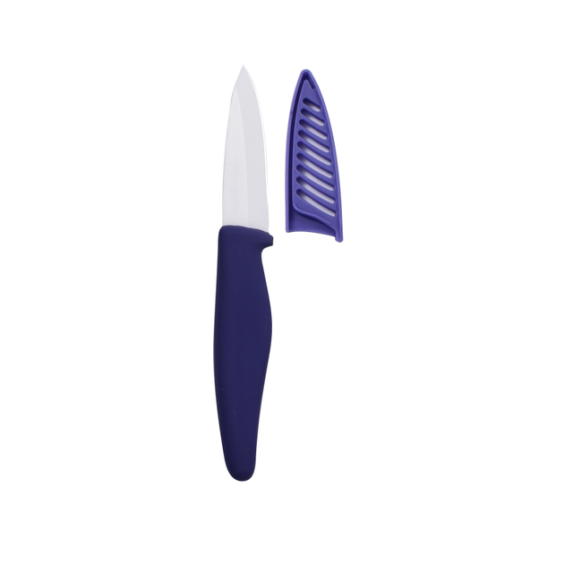 Classic 3Cr13 Best Fruit Knives