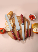 //rnrorwxhiqijjo5q.ldycdn.com/cloud/ljbpnkrpjmsrpkmnkqmkjm/knife-set12.jpg