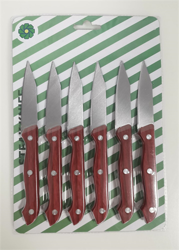 steak couteau02